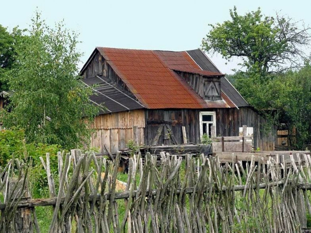 Беловежская пуща