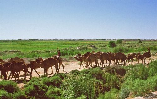 Туркменистан отдых, фото туристов