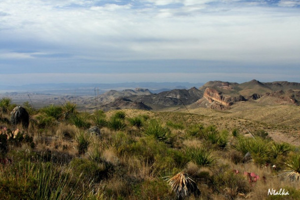 Big Bend National Park, Texas