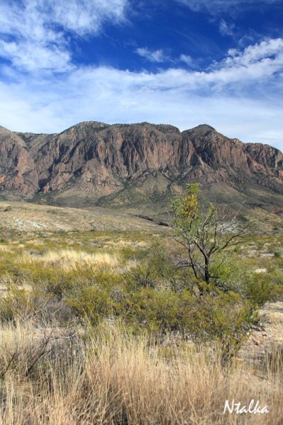 Big Bend National Park, Texas