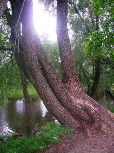 Старая Русса. Курорт и «Братья Карамазовы»