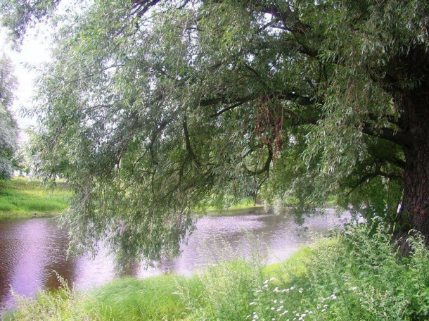 Старая Русса. Курорт и «Братья Карамазовы»