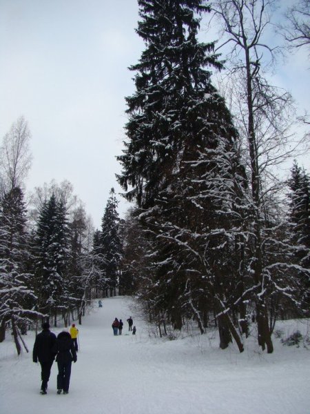 Шуваловский парк