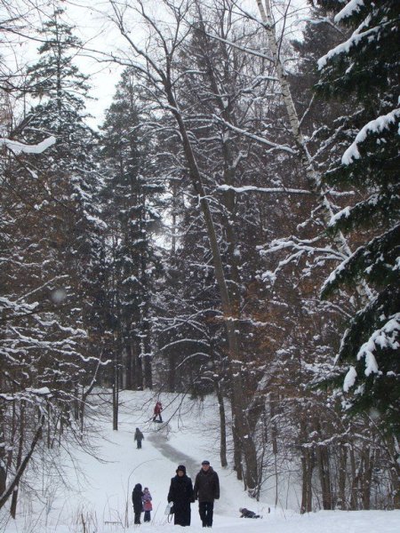 Шуваловский парк