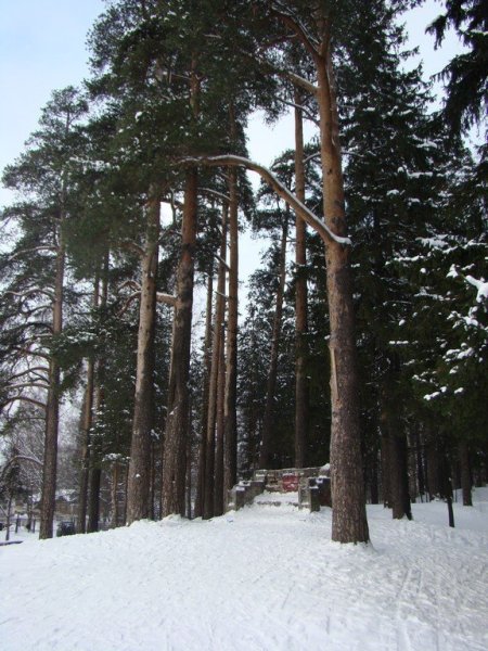 Шуваловский парк