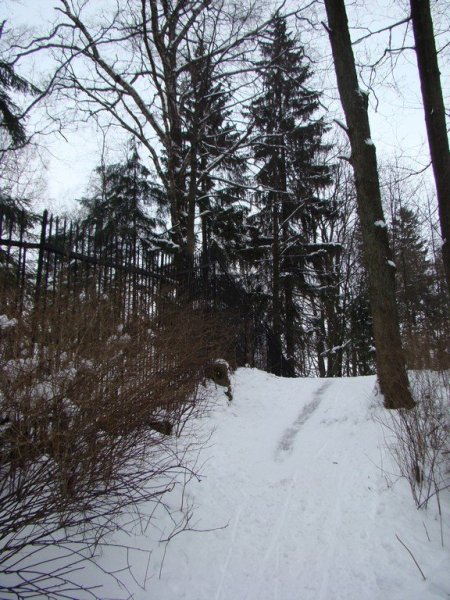 Шуваловский парк