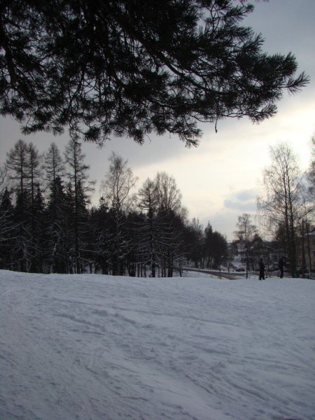 Шуваловский парк