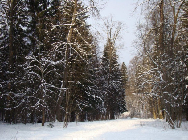 Шуваловский парк