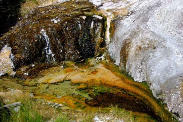 Новая Зеландия. Парк Orakei Korako.