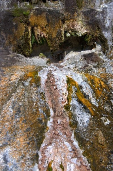 Новая Зеландия. Парк Orakei Korako.