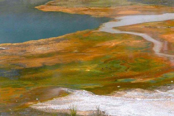 Новая Зеландия. Парк Orakei Korako.