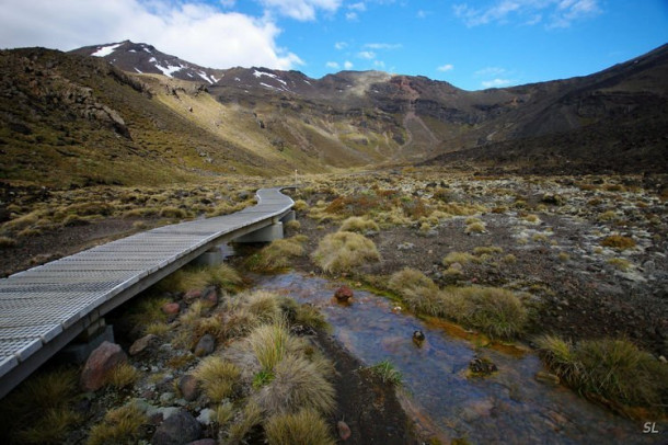 Новая Зеландия. Tongariro Crossing.