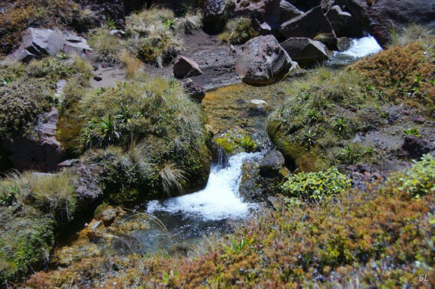 Новая Зеландия. Tongariro Crossing.