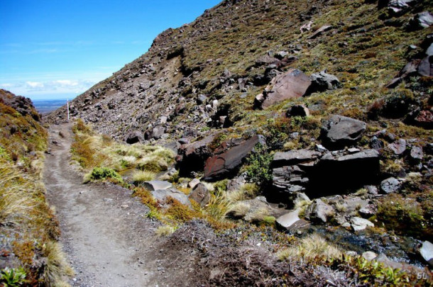 Новая Зеландия. Tongariro Crossing.