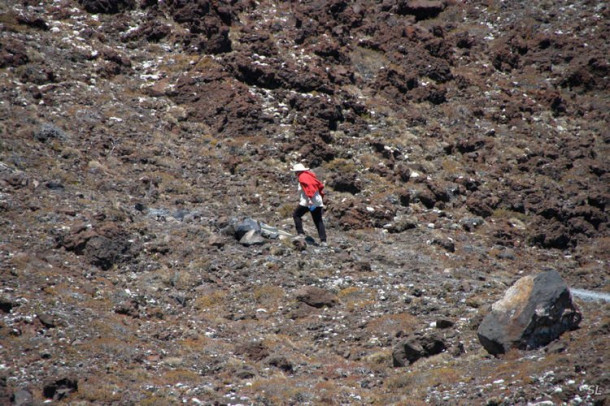 Новая Зеландия. Tongariro Crossing.