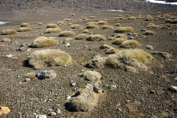 Новая Зеландия. Tongariro Crossing.