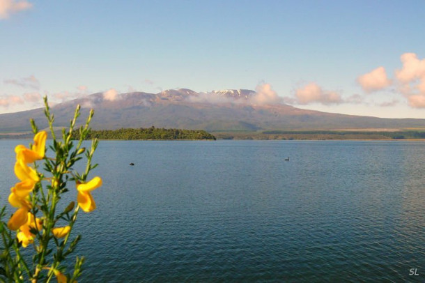 Новая Зеландия. Tongariro National Park.