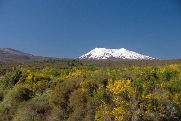 Новая Зеландия. Tongariro National Park.