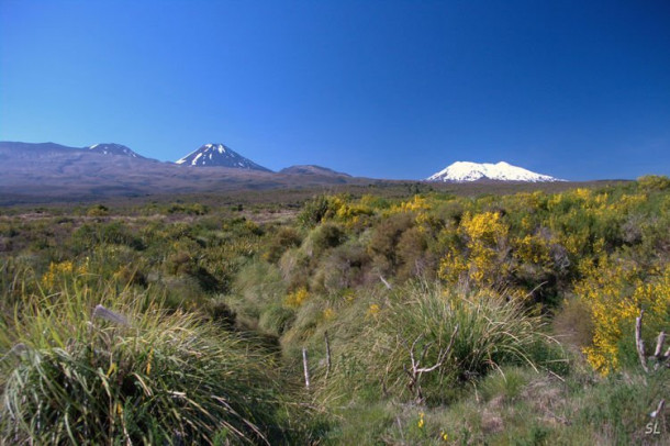 Новая Зеландия. Tongariro National Park.