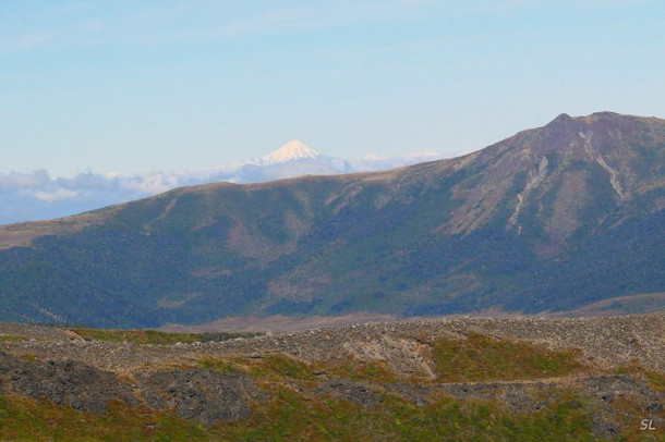 Новая Зеландия. Tongariro National Park.