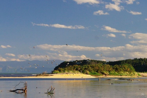 Новая Зеландия. Abel Tasman National Park. Первый день.