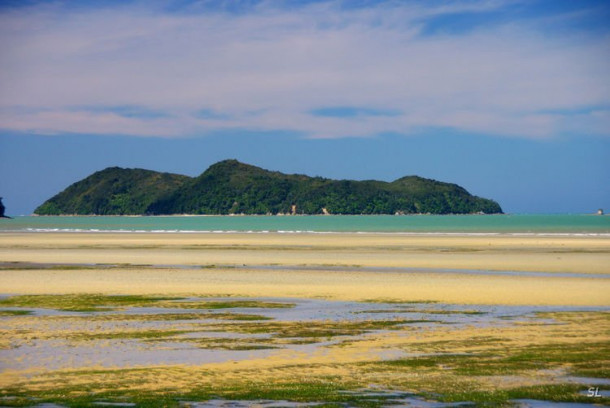 Новая Зеландия. Abel Tasman National Park. Первый день.