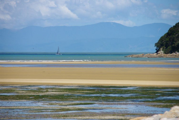 Новая Зеландия. Abel Tasman National Park. Первый день.