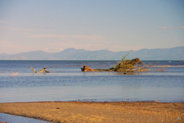 Новая Зеландия. Abel Tasman National Park. Первый день.