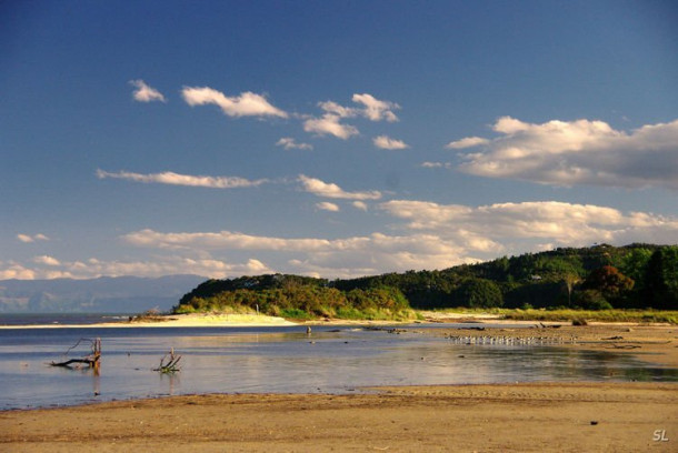 Новая Зеландия. Abel Tasman National Park. Первый день.