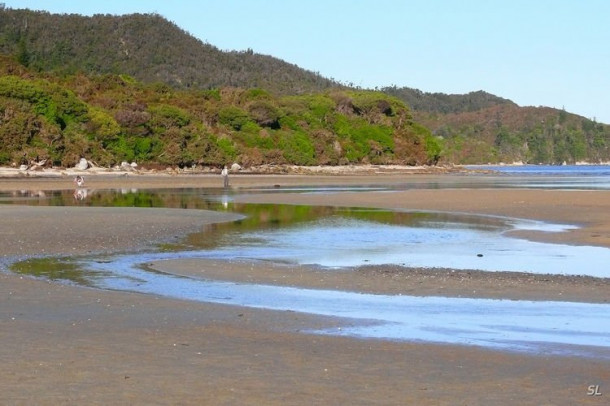 Новая Зеландия. Abel Tasman National Park. Первый день.