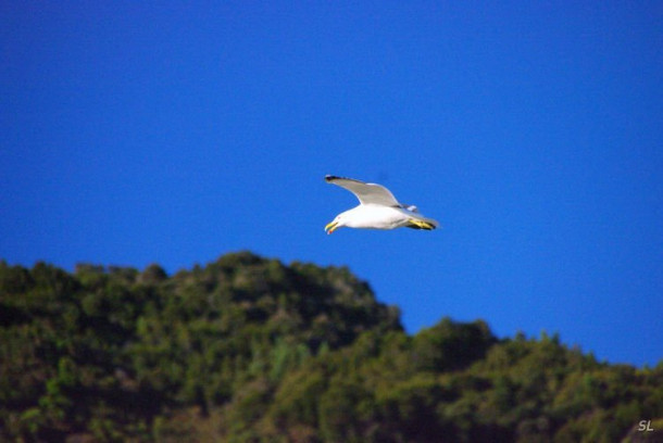 Новая Зеландия. Abel Tasman National Park. Первый день.