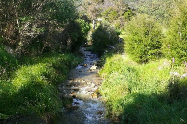 Новая Зеландия. Abel Tasman National Park. Первый день.