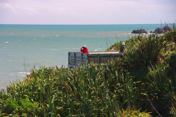 Cape Foulwind