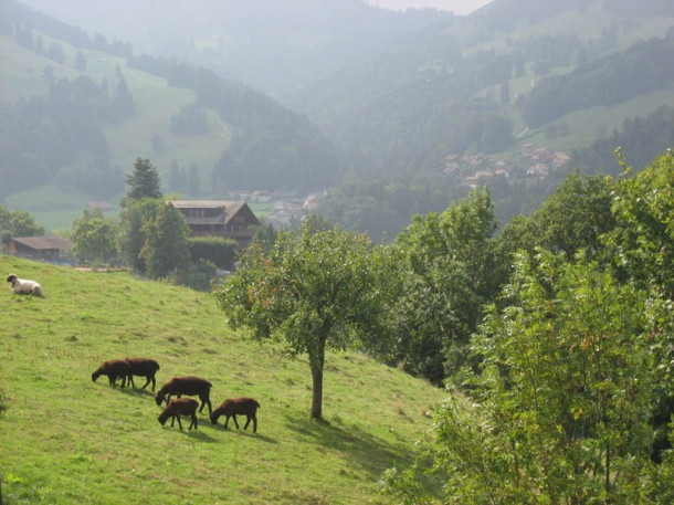 Фотоистории о Швейцарии. Грюйер (La Gruyere).