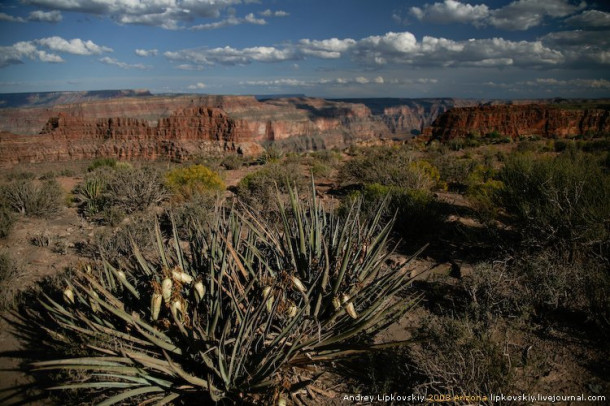 Arizona, Штат Большого Каньона