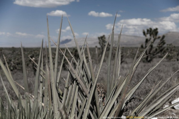 Arizona, Штат Большого Каньона