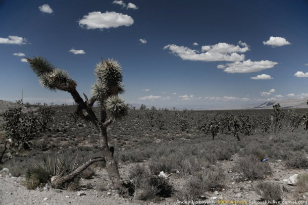 Arizona, Штат Большого Каньона