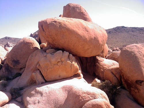 Joshua Tree National Park