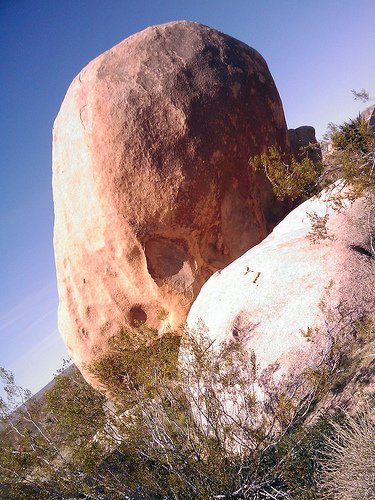 Joshua Tree National Park