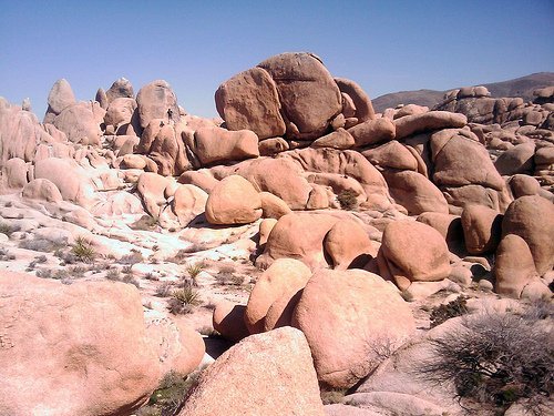 Joshua Tree National Park