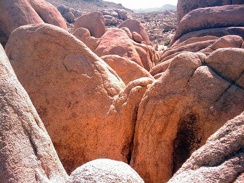 Joshua Tree National Park