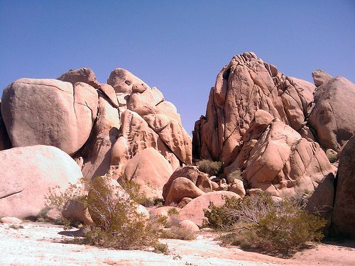 Joshua Tree National Park