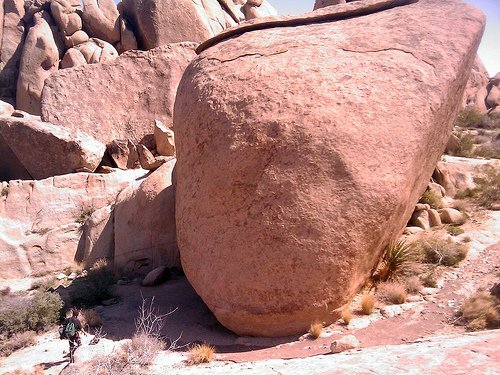 Joshua Tree National Park