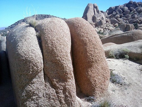 Joshua Tree National Park