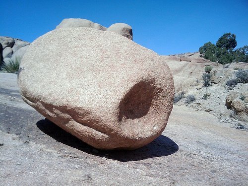 Joshua Tree National Park