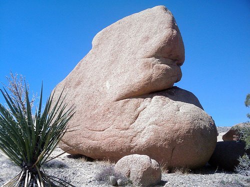 Joshua Tree National Park