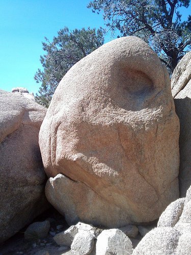 Joshua Tree National Park