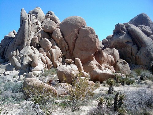 Joshua Tree National Park