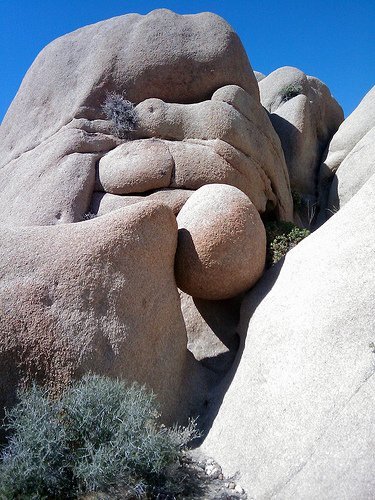 Joshua Tree National Park