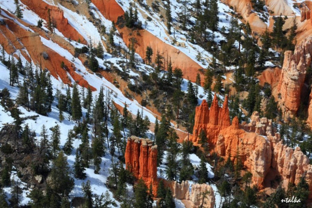 Bryce canyon.. It is a hell of a place to lose a cow